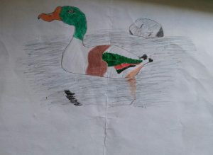 1012053_10153053205410596_2016064550_n