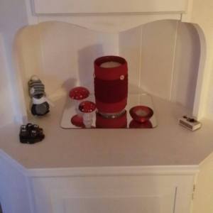 1486707_10153614845415596_424253444_n