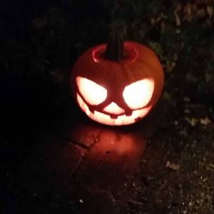 1394792_10154792900680596_3192035382993803030_n