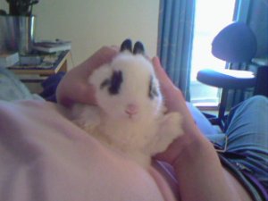 Lille Yasmine. Helt ny i verden <3