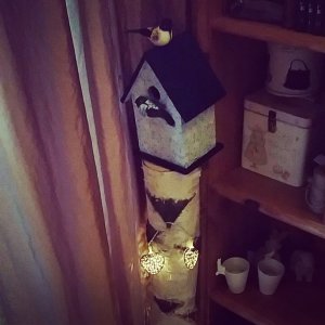 1520627_10155096711835596_6399738589149828439_n