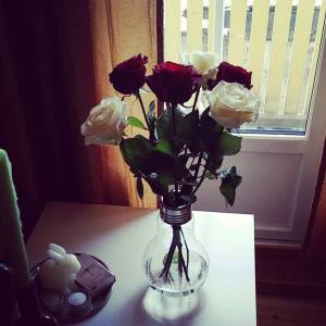 Fine roser i min "Edison Bulb Vase". 