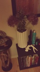 10991146_10155200823615596_5536939636538783354_n