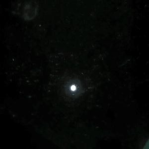 10426269_10155410566590596_4646740457512988007_n