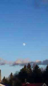 10933774_10155399005590596_6059030620382296162_n