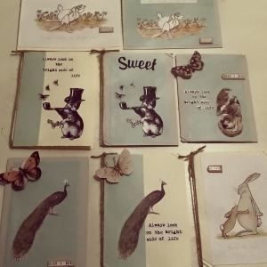 11013561_10155388933070596_3281249758599609641_n