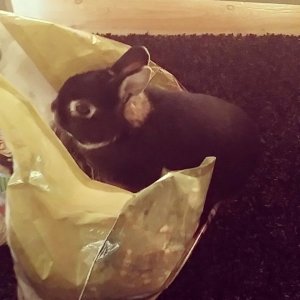 Sjefen forsyner seg selv  fra høyposen. 