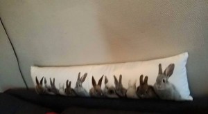 Fineste kaninputa <3