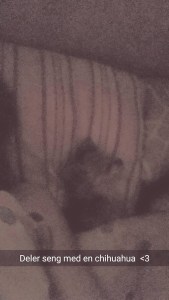 11215709_10155687206275596_7397299852091560859_n