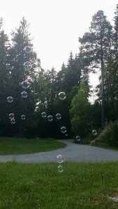 11401501_10155852261535596_3209667778251781183_n