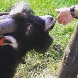 11707581_10155851754985596_3340823742771502201_n