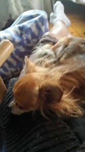 11216831_10156039384085596_6304745812572413340_n