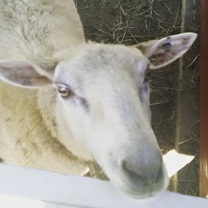 Koselig besøk på Hadeland Glassverk med mamma og pappa. 