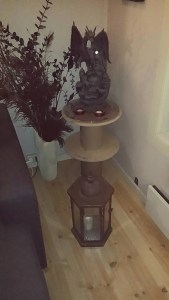 11866352_10155985020130596_3907276493852584652_n