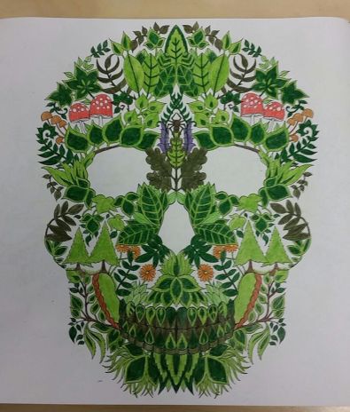 12357145_10156353503665596_172657047504262765_o