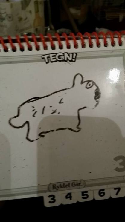 12814534_10156644424215596_5502003562267070834_n