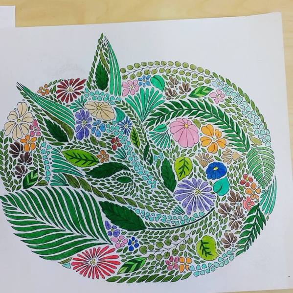 13254024_10156970746510596_8483011110149725073_n