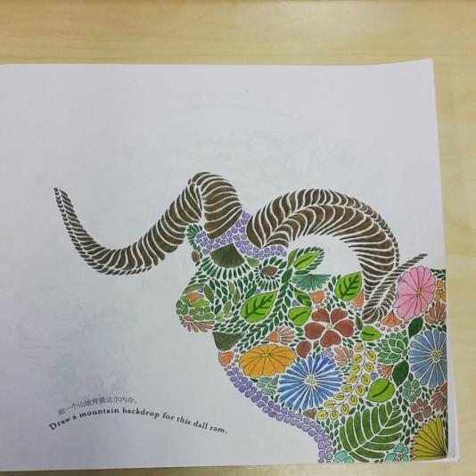 13310611_10157005272800596_7856777469623190907_n