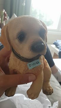 13592174_10157165724675596_3010425411074713416_n