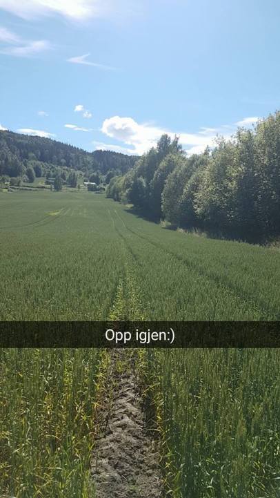 13707513_10157205626955596_8178064670322033049_n