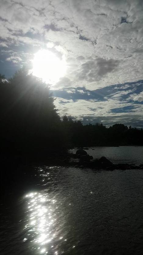 13707737_10157205590710596_9025489527723531411_n