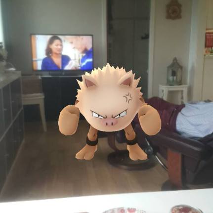 13770346_10157209604405596_5064147678815341392_n