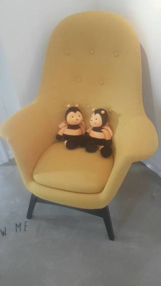 13776024_10157209563120596_6723323159077071698_n