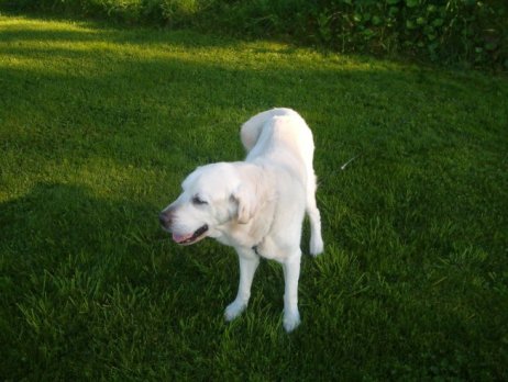 34009_10150221084055596_3425730_n