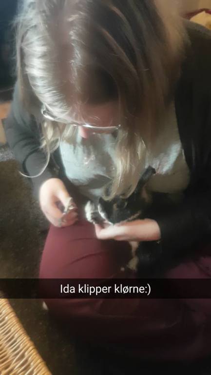 14021496_10157341369805596_3485035960378269595_n