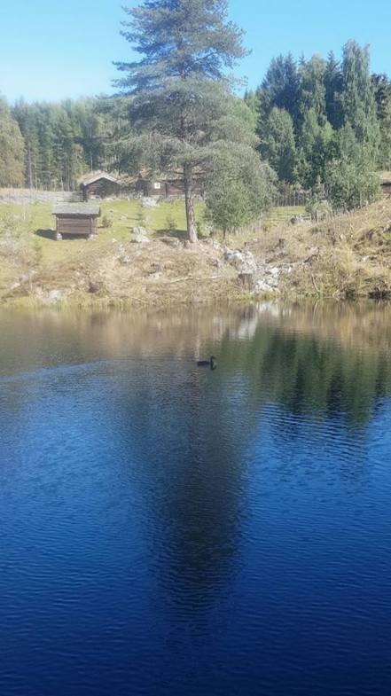 14045736_10157349307045596_2477024438944143499_n