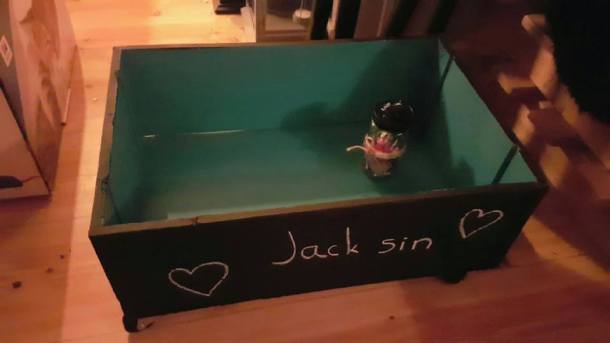 15578925_10157967455680596_6403031049034595540_n