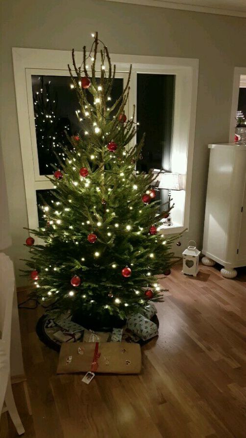 15747426_10158018509520596_1371930014818096951_n