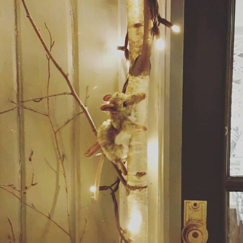 15822830_10158018082560596_3475502668507092863_n