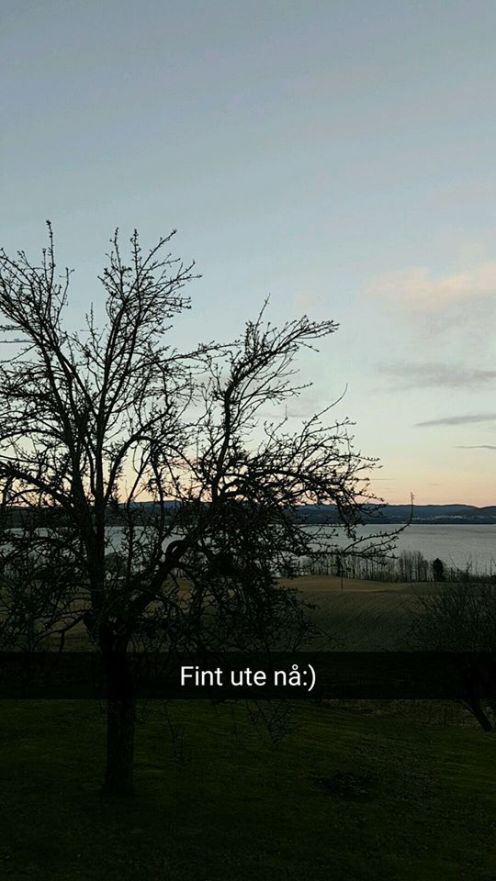 17200932_10158362730430596_1282744592351954925_n