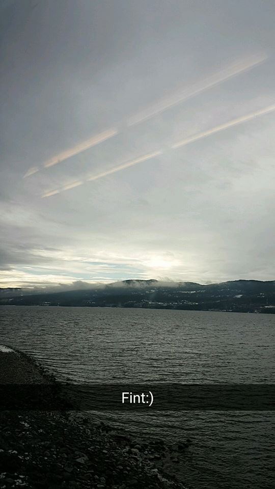 17796404_10158490381115596_7848063403683925834_n