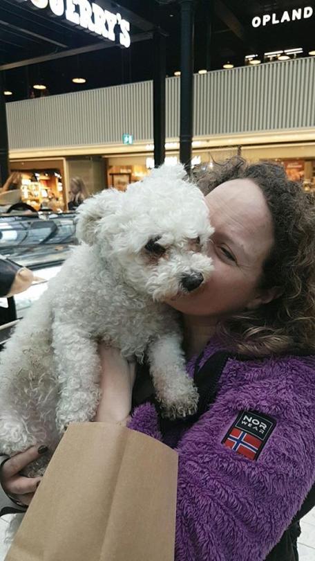 983892_10158490460500596_2520380764245747185_n