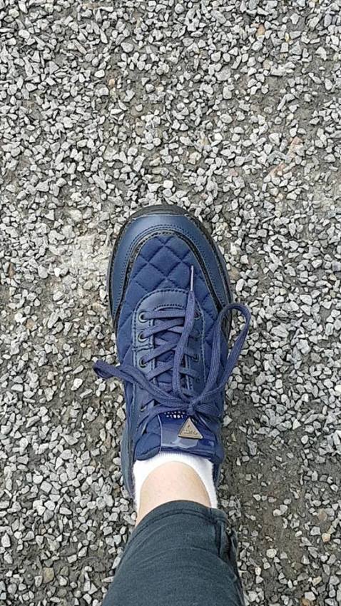 18342337_10158674543200596_8653455455845099996_n