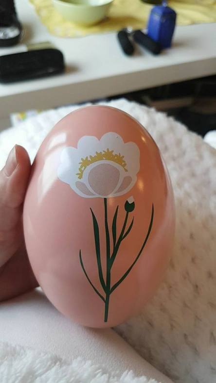 19875165_10159023668780596_8745961158171791349_n