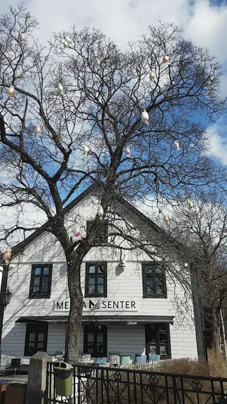 19875512_10159023628680596_604539943104099513_n