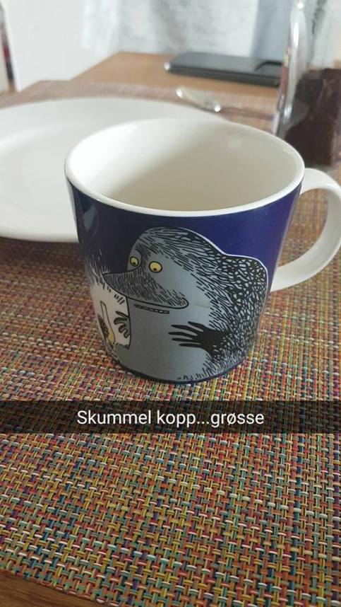 19904907_10159024155760596_8202967347601061338_n