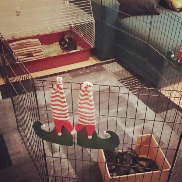 25348394_10159768543635596_4070053376158654465_n