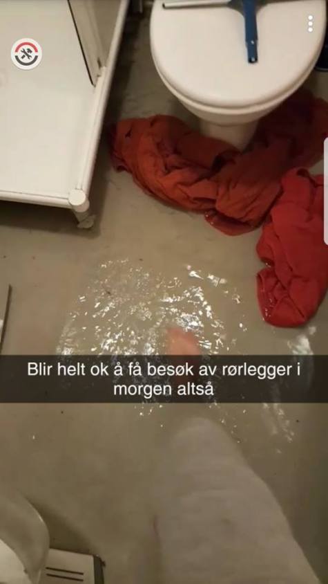 25353685_10159776118900596_3916925981727414725_n