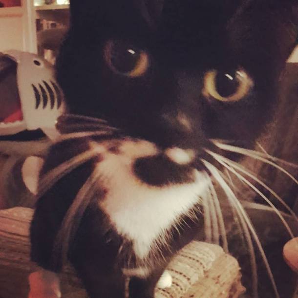 26169861_10159878233335596_6464212637372193894_n