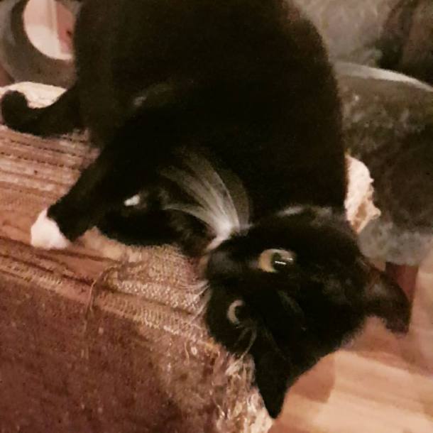 26170015_10159878219020596_3882463822009970969_n