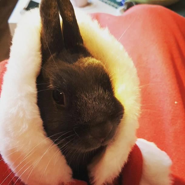 26219449_10159890532605596_2694811126949701405_n