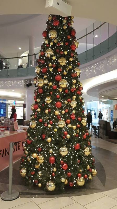 26730787_10159921754685596_8738993298143274871_n