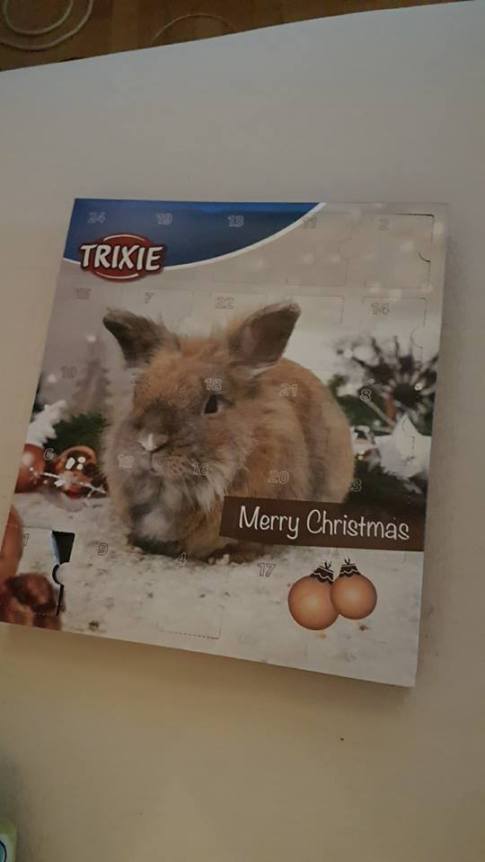 26731175_10159890445700596_3554898634905115082_n