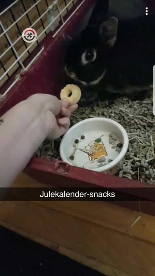 26733664_10159890455030596_5021449715185704608_n