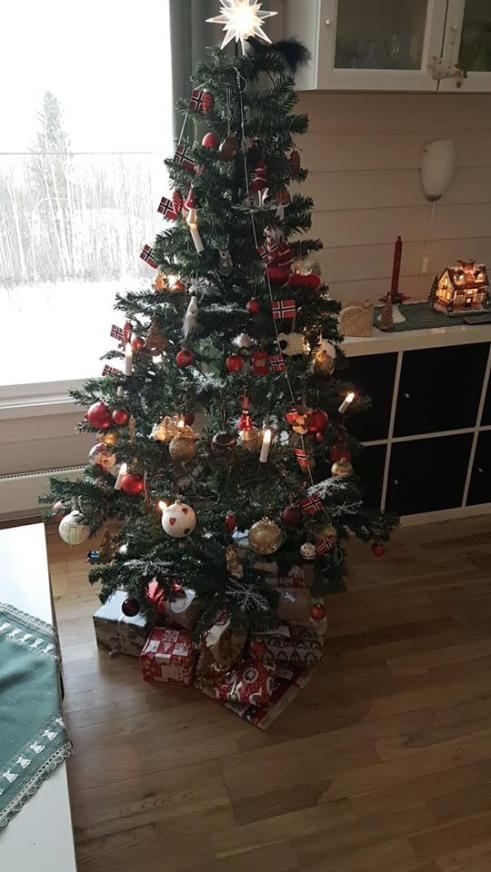 26903676_10159921834670596_1304119600859071802_n