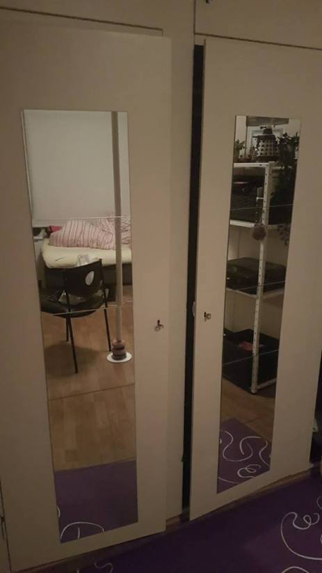 26994096_10159986892330596_8031025143203575324_n